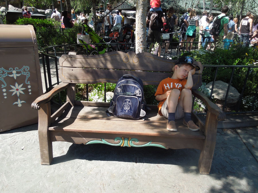 Disneyland Matterhorn Bobsled